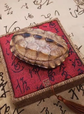 乌龟壳摇卦乌龟壳天然手工摆件
