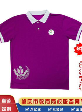 广东肇庆市端州区第十六小学校服统一夏秋冬装运动小学生校服纯棉