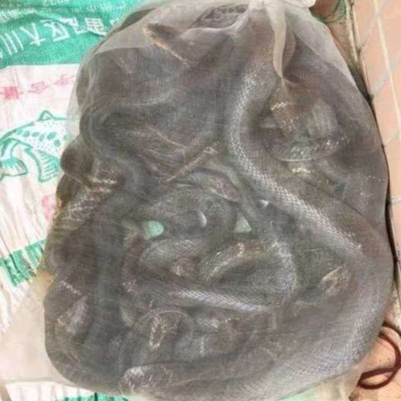 蛇袋袋装防虫尼龙网大加厚火腿{纱网袋网袋子蛇袋新款蛇袋网加密