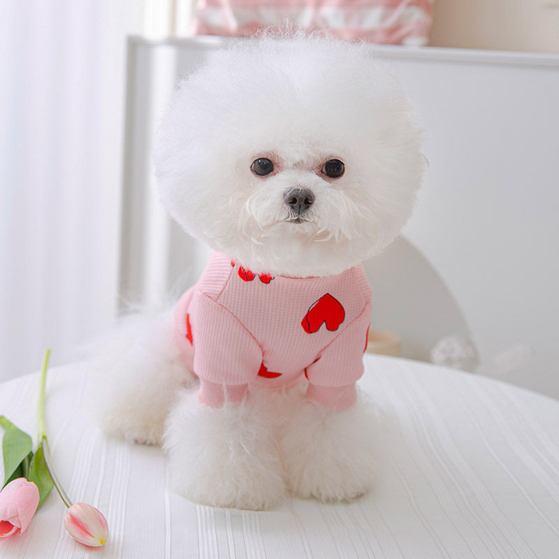脆氏爱心印花小狗狗衣服春秋款泰迪比熊雪纳瑞博美猫咪小型犬宠物