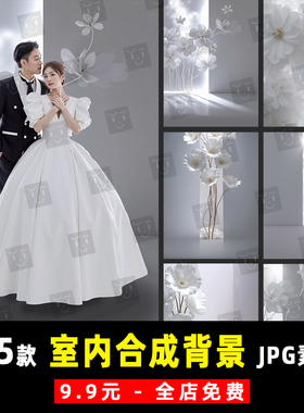 薇拉AI室内白树绸缎花拱门婚纱SD合成背景PS设计JPG素材模板 K972