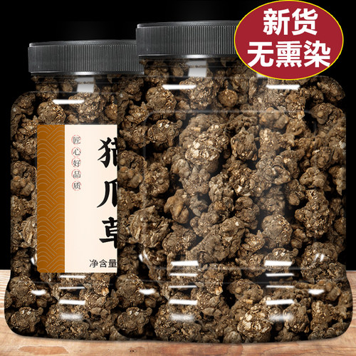猫爪草新鲜中草药材散结茶