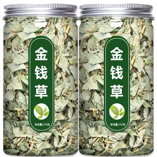 广金钱草500g大叶野生中草药新鲜正品小叶中药材排茶包石