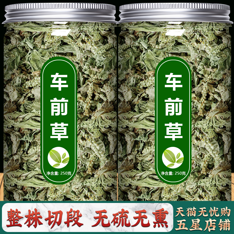 车前草野生新鲜中草药正品干货中药材粉袋泡茶泡水喝的功效与作用 传统滋补营养品 其他药食同源食品 原图主图