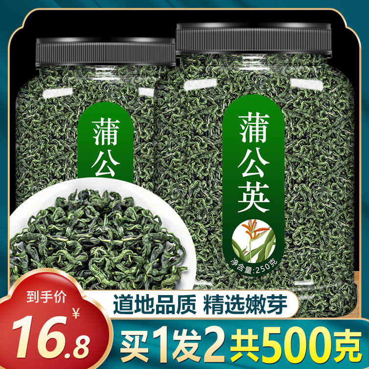 蒲公英茶野生特级散结茶叶图片
