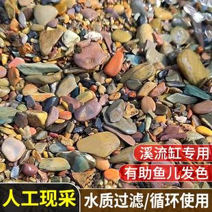 纯天然溪流砂鱼缸造景装饰入缸成景水族箱古法缸铺底五彩川藏沙