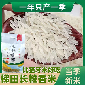 【官方正品】贵州梯田长粒香米