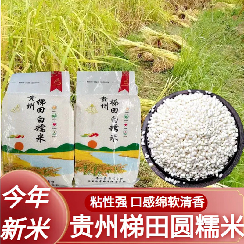 贵州梯田圆糯米新米香甜白糯米农家糍粑糯米包粽子软糯米杂粮大米