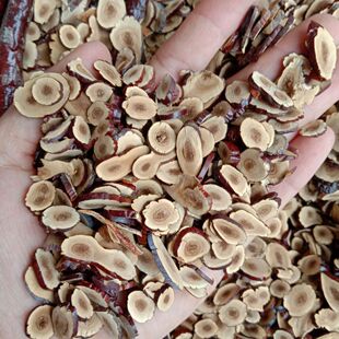 中药材灵芝水灵芝草500克包邮 灵芝草切片 默认发切片要个留言