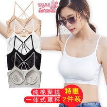 棉内衣女无钢圈聚拢一体式文胸高中少女美背裹胸抹胸学生运动背心