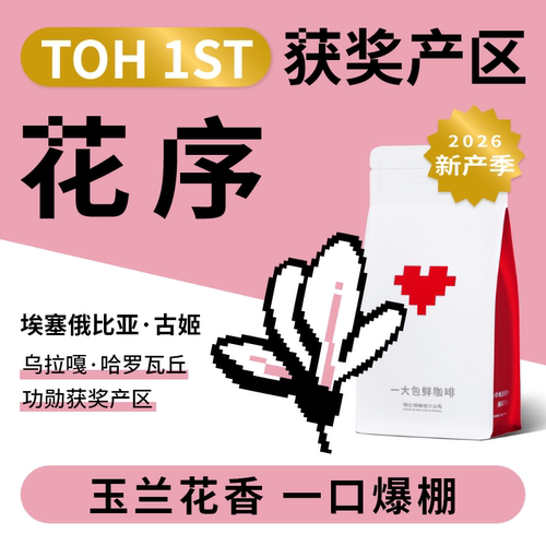 捌比特埃塞花序水洗处理咖啡豆