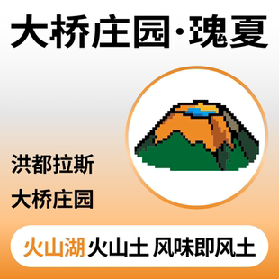 捌比特洪都拉斯大桥庄园瑰夏浅中烘焙手冲水洗精品咖啡豆100g