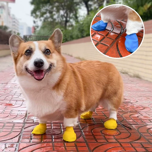 Пет -собака дождевится дождевые медведи Водонепроницаемые анти -лиртные