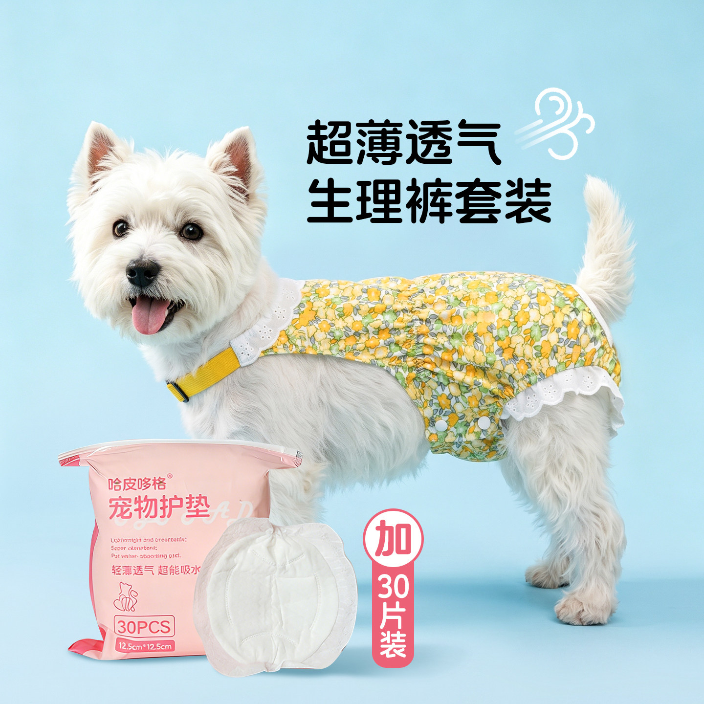 宠物母狗狗生理裤姨妈经期西高地小狗比熊泰迪防脱裤生理期安全裤