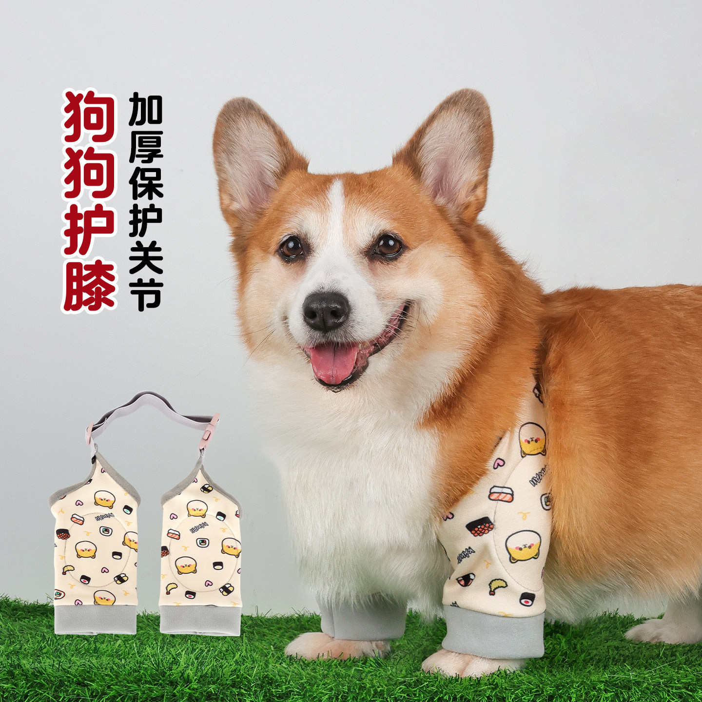 宠物狗狗护肘衣柯基专用关节保护袖套防脏神器中型犬四季通用护膝,宠物/宠物食品及用品,狗宠物服装/雨衣,淘宝优惠券,粉丝福利购,淘宝优惠卷