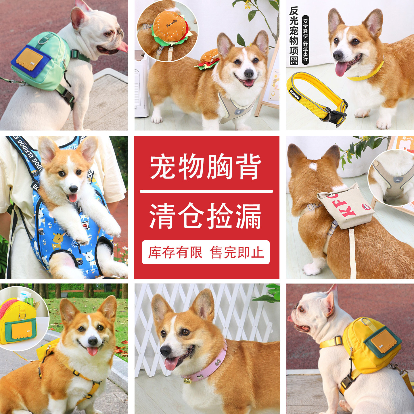 宠物狗狗胸背带柯基犬外出自背包图片