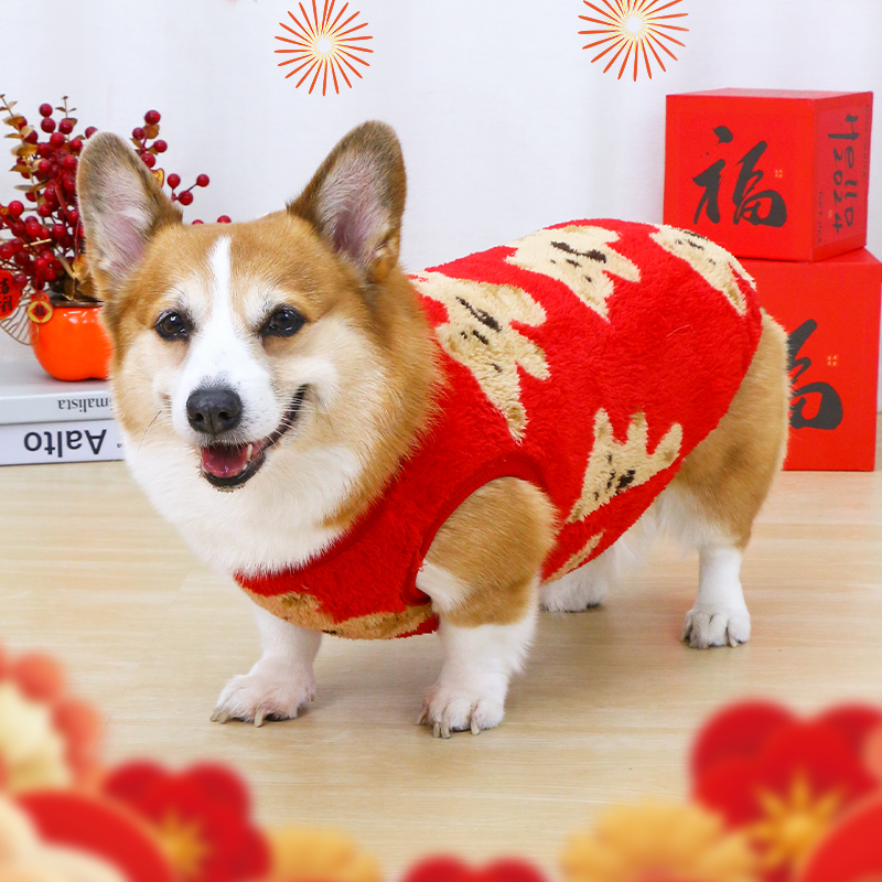新年喜庆圣诞柯基狗狗衣服秋冬款