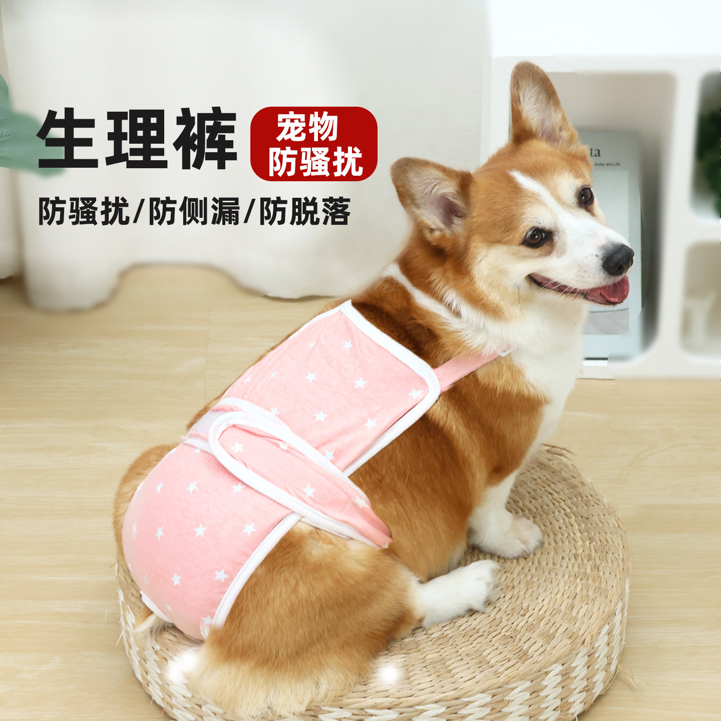 宠物狗狗生理裤母狗薄款连体防脱图片