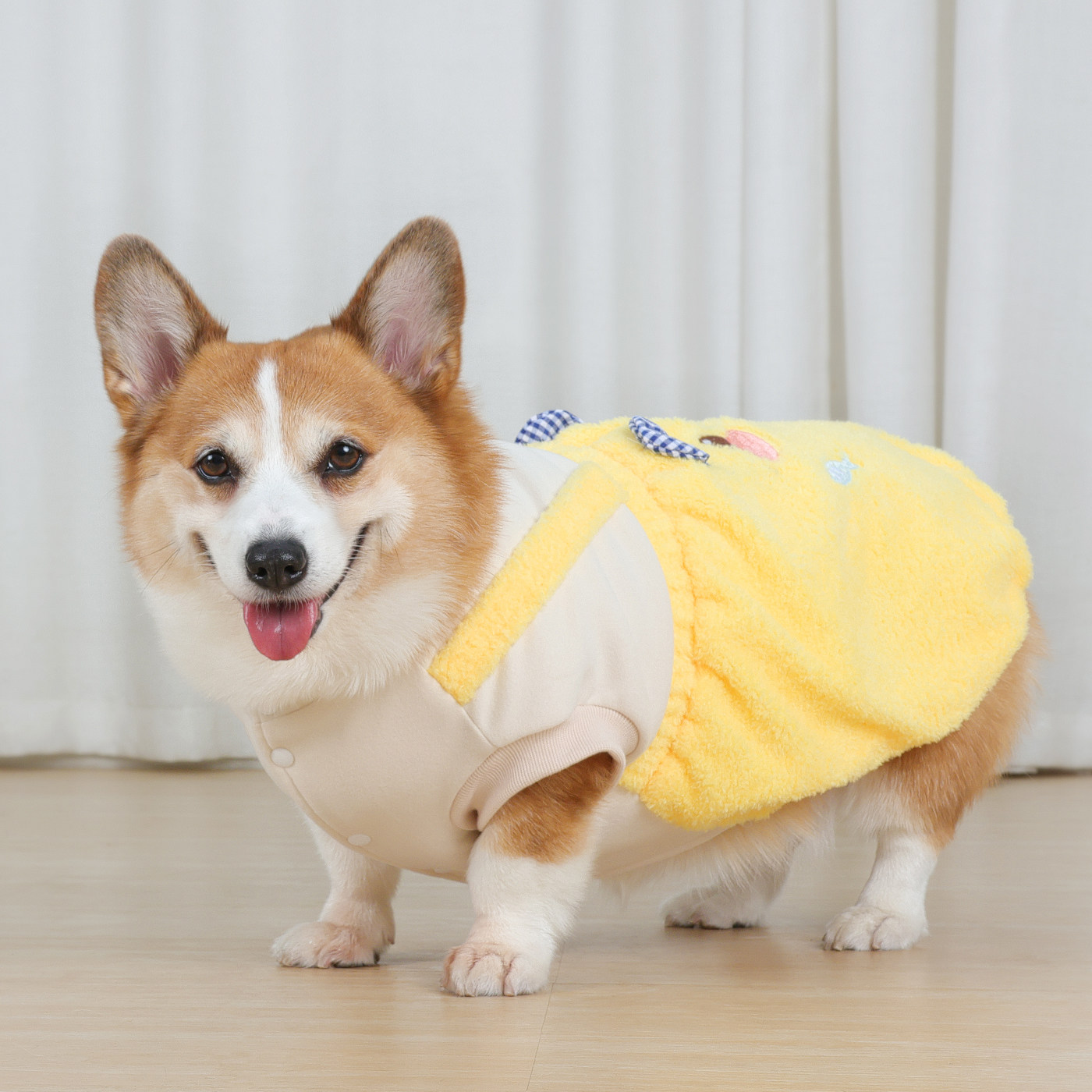 宠物狗狗秋冬季衣服柯基冬装保暖图片
