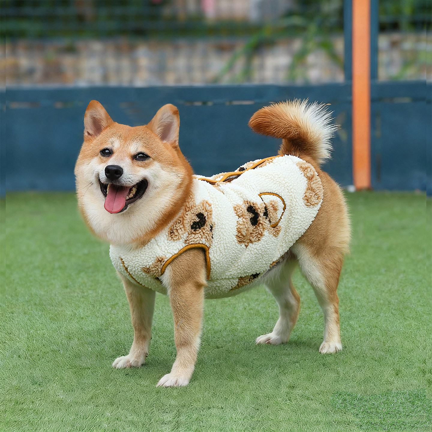 狗狗保暖加绒背心中型犬可爱衣服图片