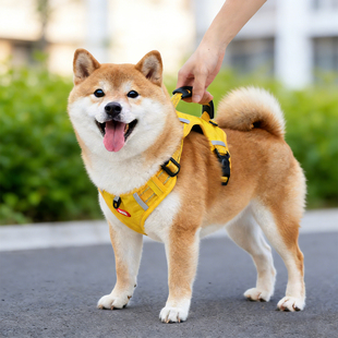 宠物胸背带狗狗专用牵引绳柴犬柯基犬中型犬外出遛狗绳防爆冲背带