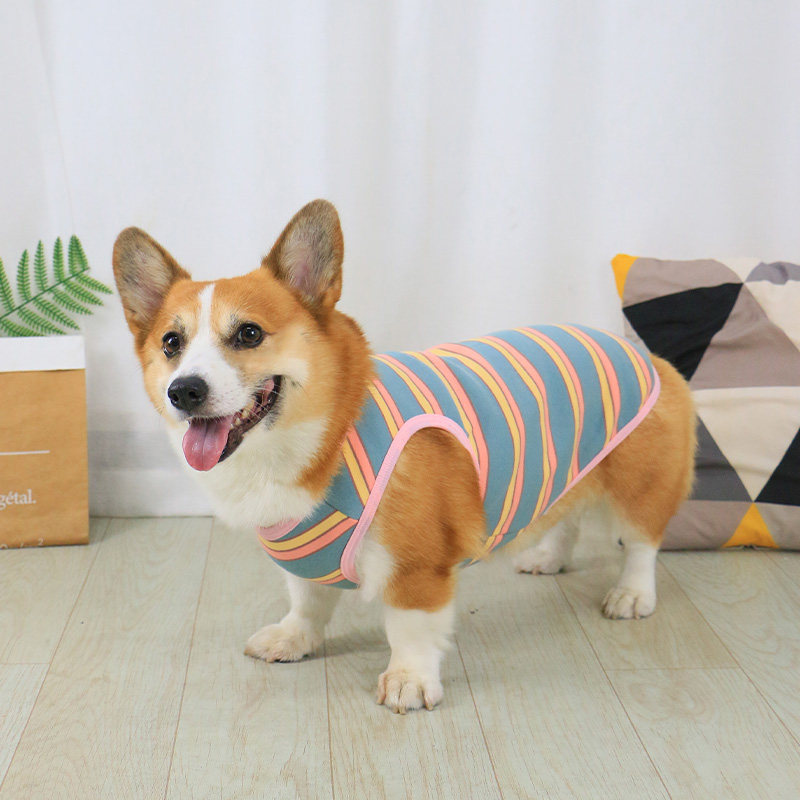 冬天衣服背心秋冬款保暖宠物狗狗图片