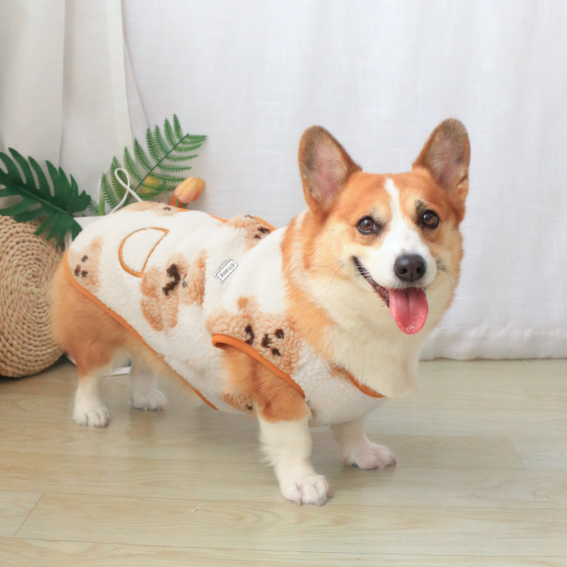 背心狗衣服柯基泰迪秋季冬季秋冬