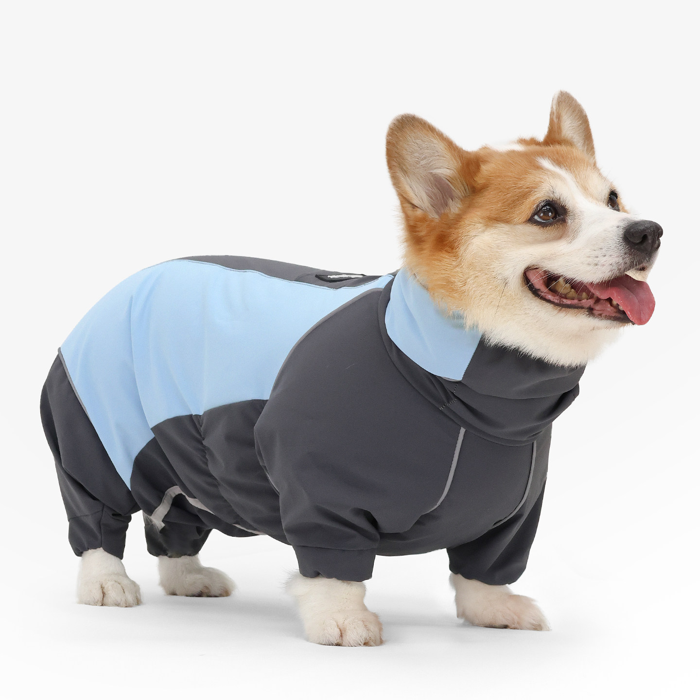 防风冲锋衣宠物小狗四脚全包雨衣柯基泰迪小型犬雨天外出衣服防脏,宠物/宠物食品及用品,狗宠物服装/雨衣,淘宝优惠券,粉丝福利购,淘宝优惠卷