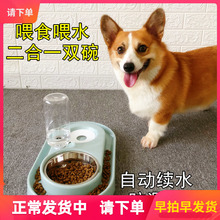 宠物狗狗双碗喂水一体自动喂食器1