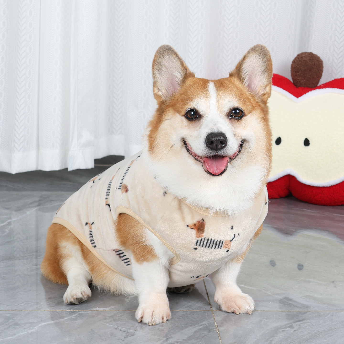 宠物狗狗衣服柯基秋冬款保暖背心