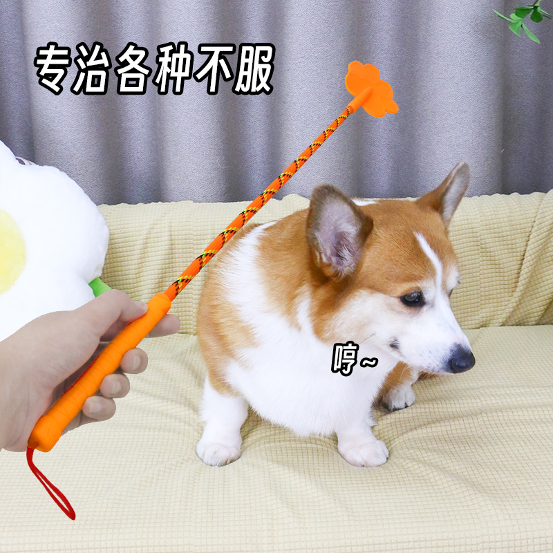 宠物狗训狗神器爱心拍训犬不伤犬