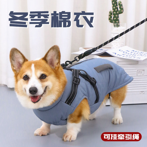宠物狗狗加厚加绒2025新款秋冬款