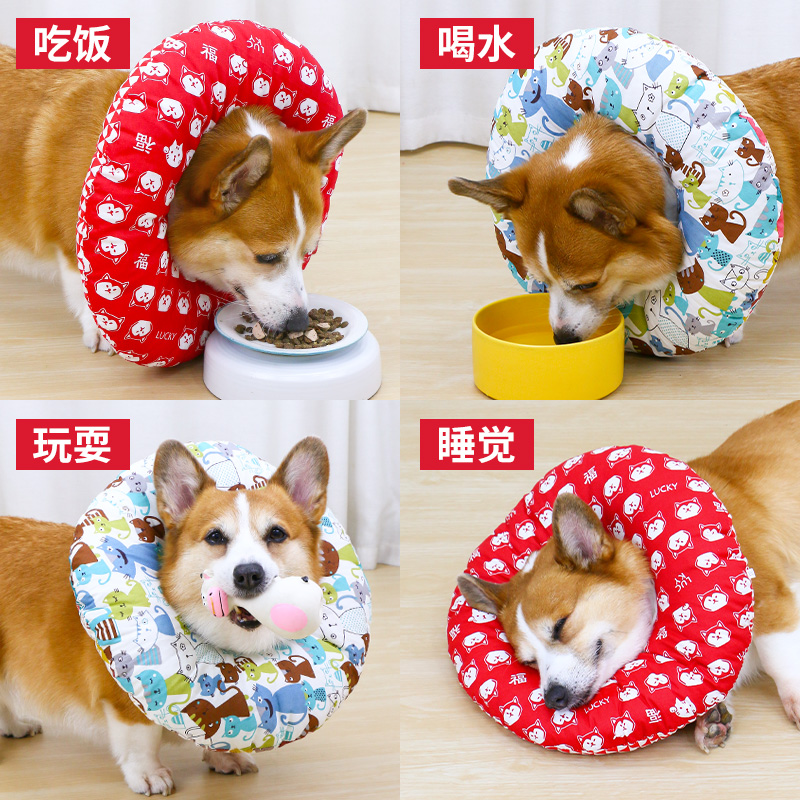 宠物狗狗伊丽莎白圈防咬防舔软圈