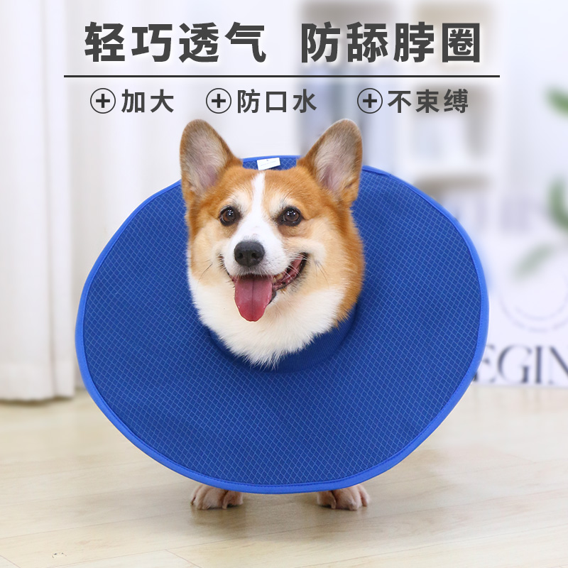 狗狗伊丽莎白圈软圈防舔神器狗圈