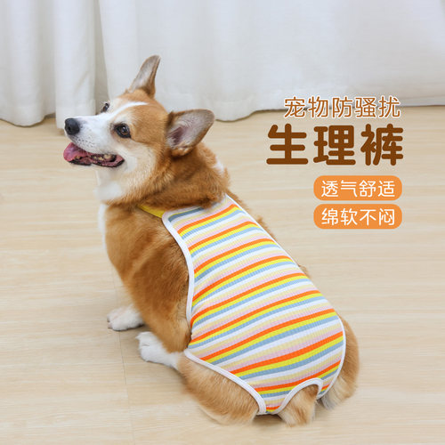 宠物狗狗生理裤母狗姨妈期防脱裤