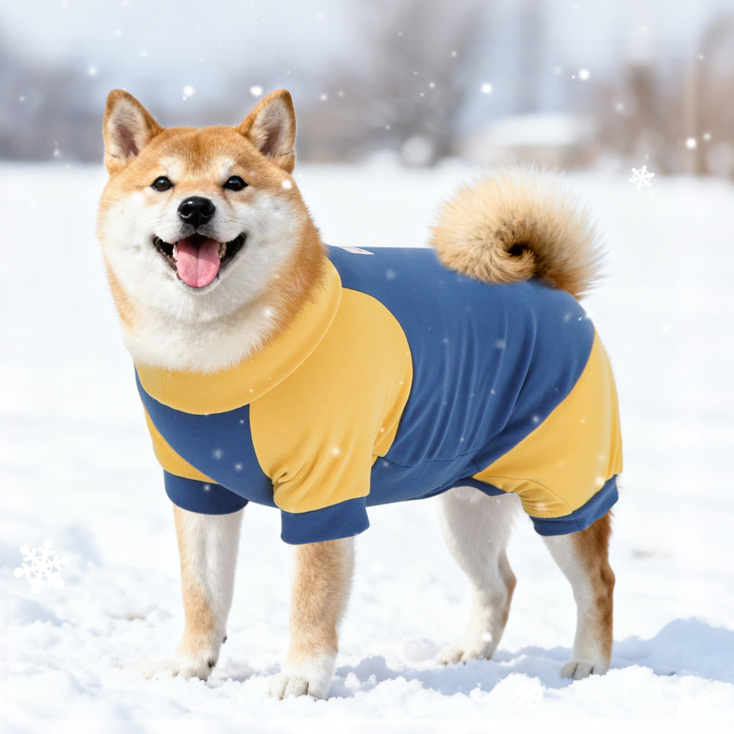 宠物狗狗衣服2025新款中型犬柴犬柯基冬季四脚衣高级感冬装护肚衣