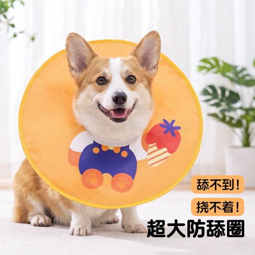 中型犬大型犬专用防舔伊丽莎白圈