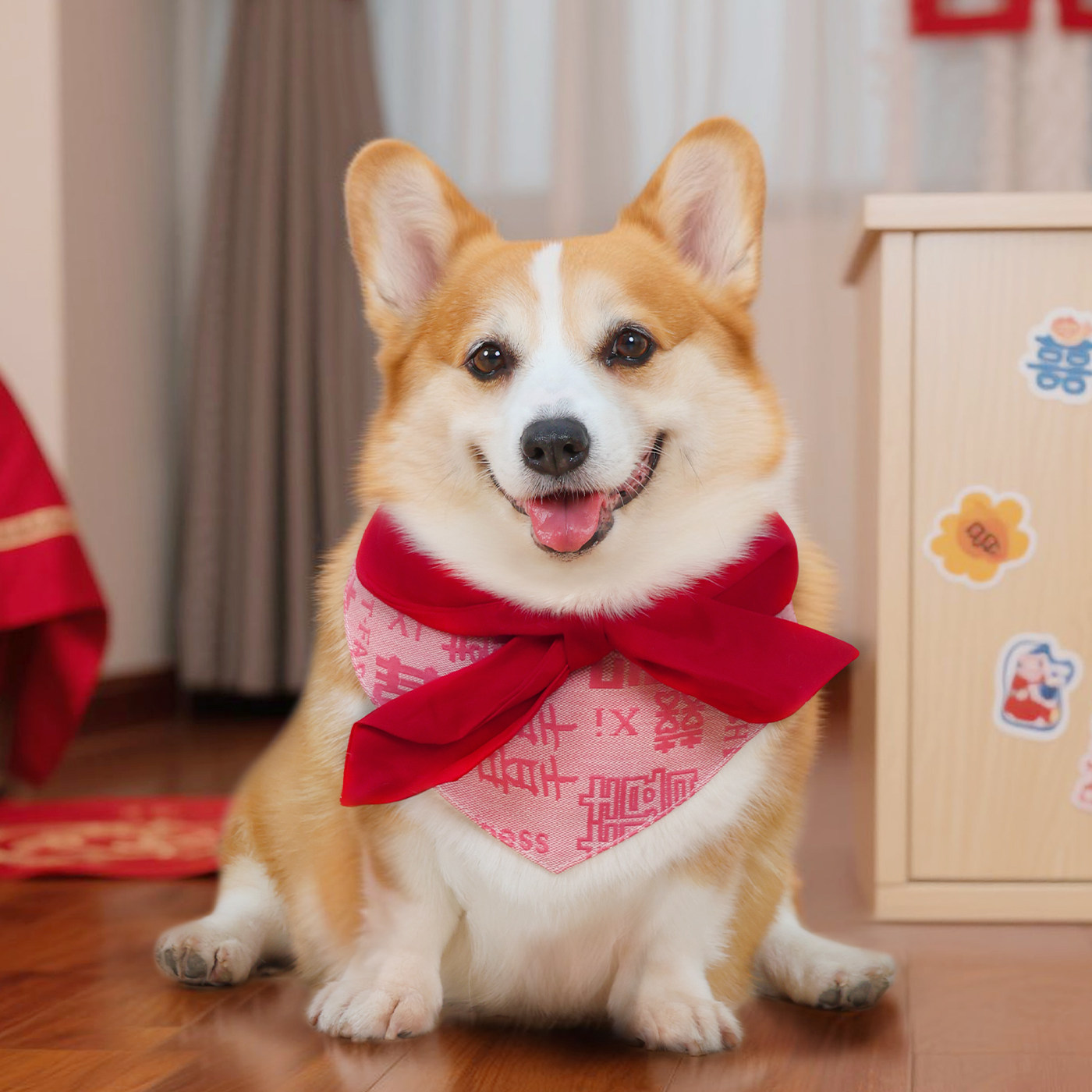 宠物狗狗口水巾小狗婚礼装饰喜庆围脖新年柯基口水兜围脖生日配饰,宠物/宠物食品及用品,围巾/口水巾,淘宝优惠券,粉丝福利购,淘宝优惠卷