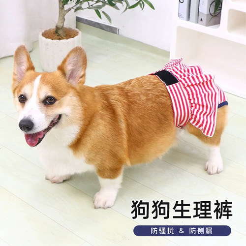 狗狗纯棉生理裤月经裤生理期护垫