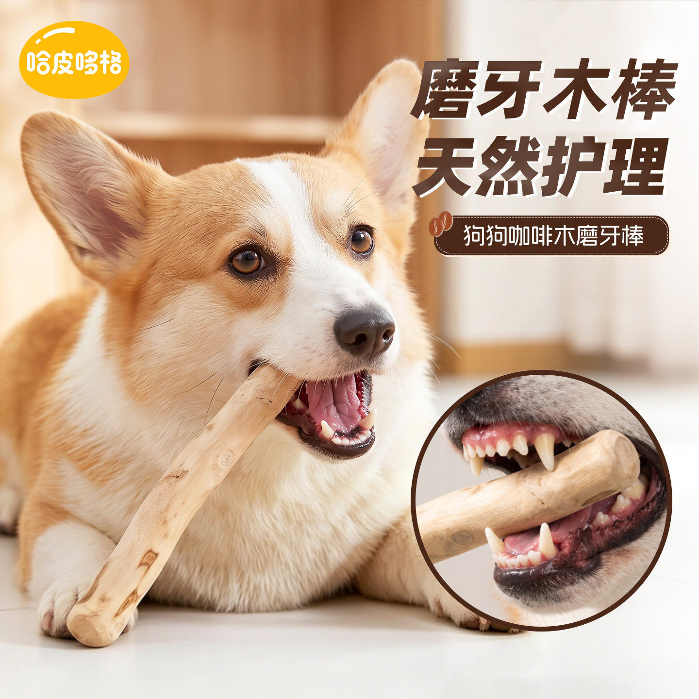 宠物狗狗中型犬天然木磨牙棒零食