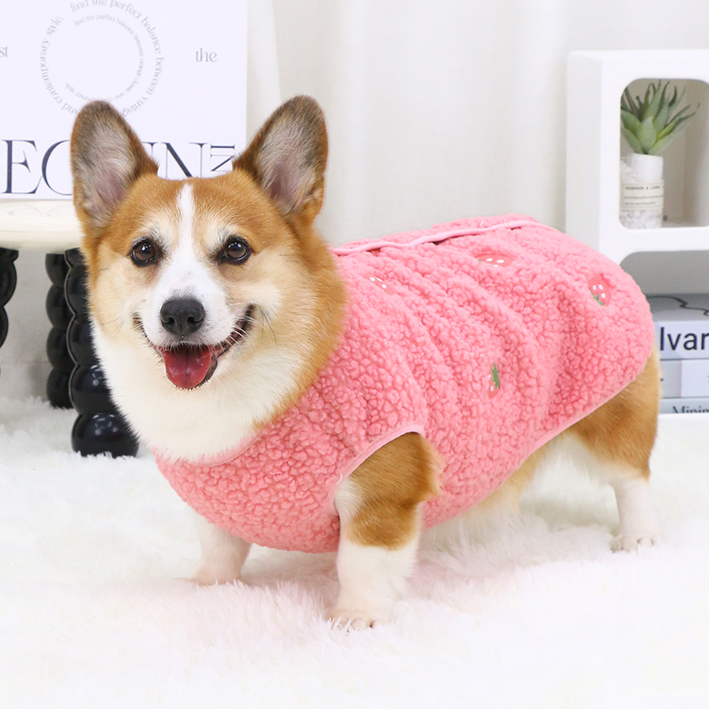 秋冬毛绒马甲狗狗衣服保暖小型犬