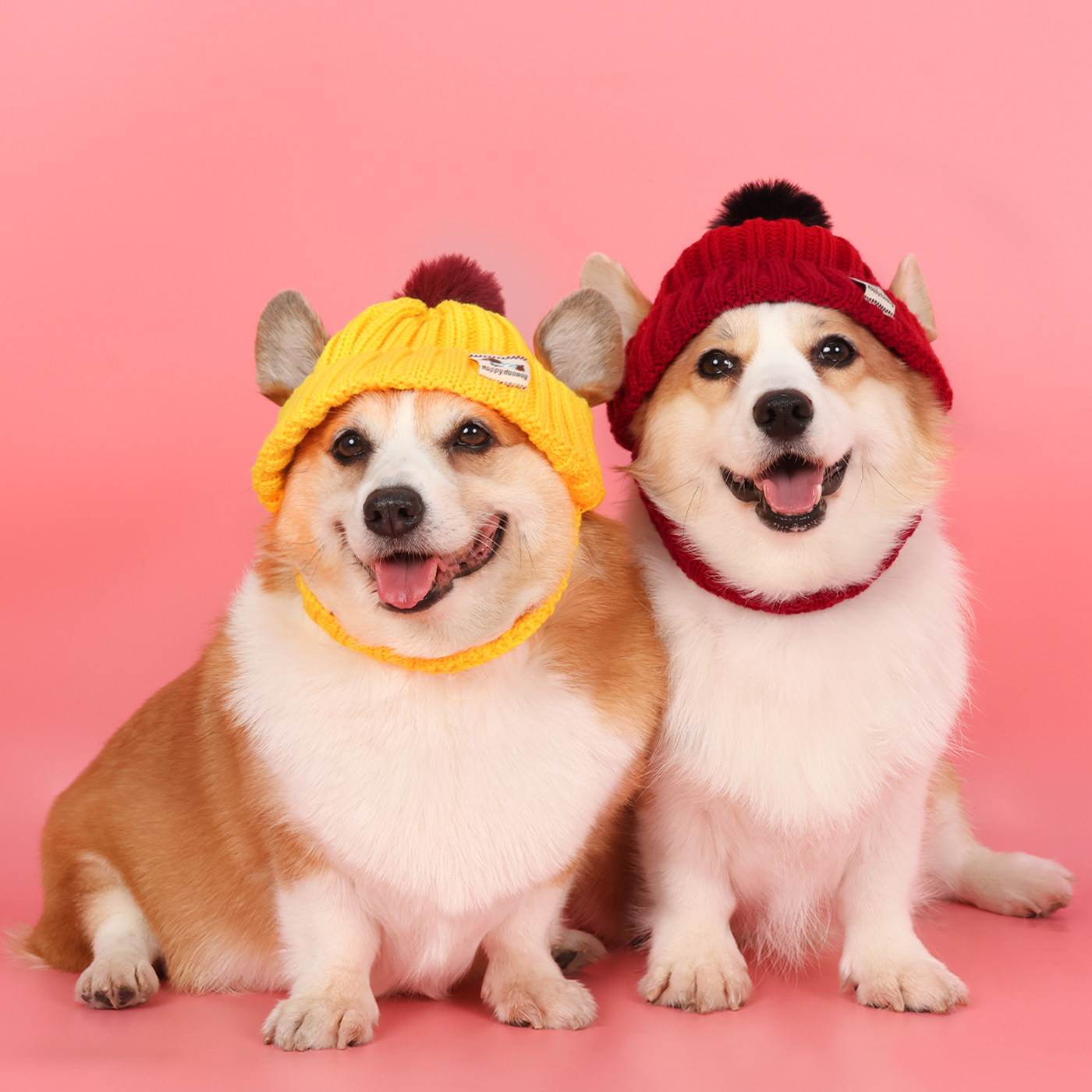 狗狗宠物帽子装饰拍照新年保暖针织毛线帽柯基泰迪柴犬可爱漏耳朵,宠物/宠物食品及用品,帽子,淘宝优惠券,粉丝福利购,淘宝优惠卷