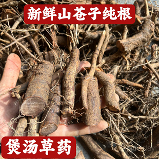 野生山苍子草根500克 包邮姜子根晒干炖猪脚汤料番鸭汤乏力草煲汤