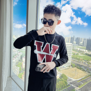 秋季男士卫衣t恤打底衫上衣长袖修身潮流圆领WY12-p48图片