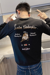卫衣男春秋款长袖t恤上衣秋季金牛刺绣潮牌痞帅精神小伙秋衣P55图片