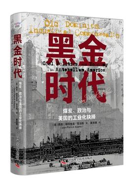 黑金时代:煤炭、政治与美国的工业化抉择:coal, politics, and economy in antebellum Americ西恩·帕特里克·亚当斯  书经济书籍