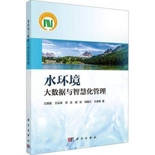 書自然科學(xué)書籍 水環(huán)境大數(shù)據(jù)與智慧化管理王國(guó)強(qiáng)