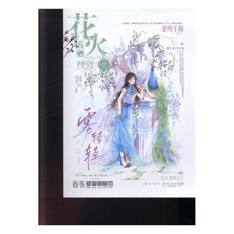 花火B 2025年-第6期 期刊杂志期刊杂志订阅 过刊 过期期刊 过期杂志书刊学术期刊书籍图片