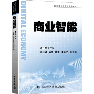 正版包邮 商业智能 肖升生 数字经济专业系列教材书籍 数字营销书籍 数据预处理等介绍书籍 电子工业出版社9787121508165