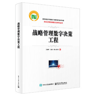 正版新书 战略管理数字决策工程 王维平 电子工业出版社 9787121515705 数字化背景下的战略性人力资源管理